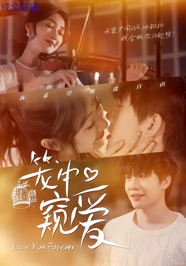 笼中窥爱